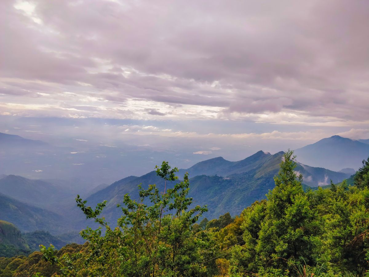 Kodaikanal Nature Walks
